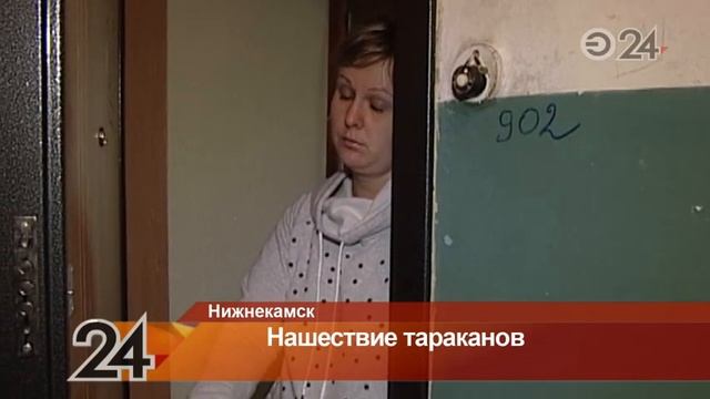 В Нижнекамске дом по пр. Строителей атаковали тараканы смотреть онлайн