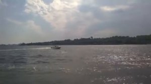 Quicksilver Activ 510 Cabin Quicksilver 500Cabin 2010 - 3