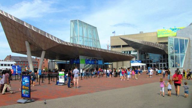 New England Aquarium | Wikipedia audio article смотреть онлайн