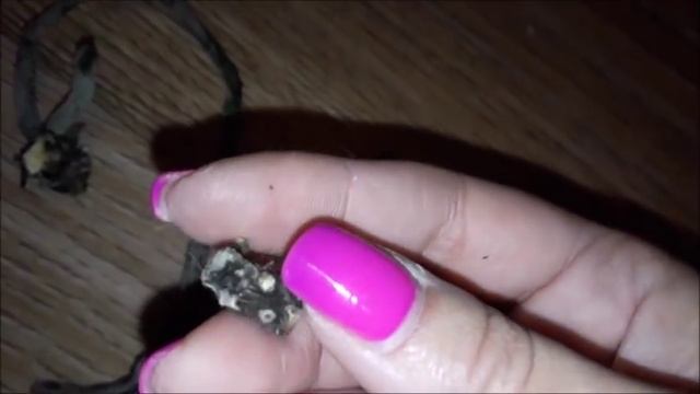 Моя громадная орхидея. Сушим листья, Растим цветонос, чернеет шейка. смотреть онлайн