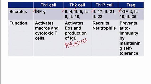 USMLE RX - 6.Иммунология - 1.Клеточные компоненты - 6.Виды Т-клеток