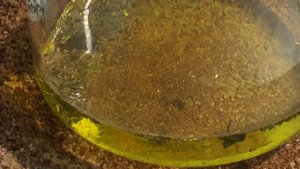 Золото с браслетов от часов.Аффинаж.