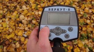 Ещё раз доступно про программы металлоискателя АКА Беркут-5.