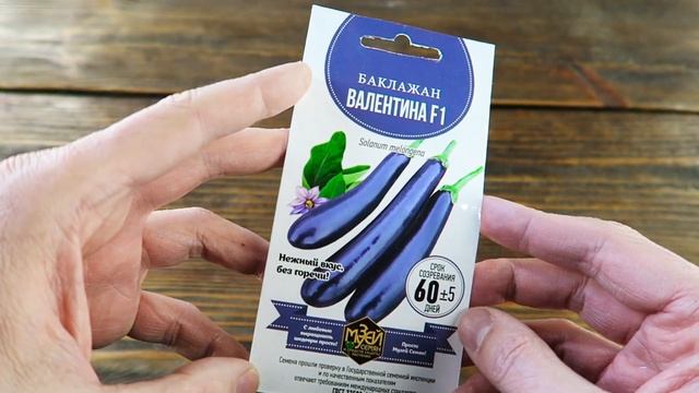 Баклажан Валентина ? На стебле по 10 плодов! смотреть онлайн