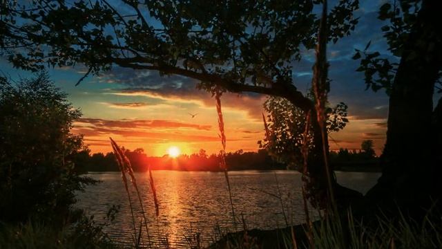 В купели золотого сна смотреть онлайн