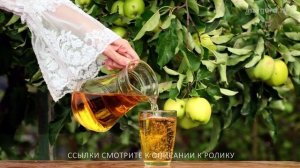 Деревенские продукты от Фролова. Изделия высокого качества с микросферами в онлайн магазине NatGard.