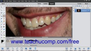 Photoshop Elements 2019 Tutorial The Spot Healing Brush Tool Adobe Training