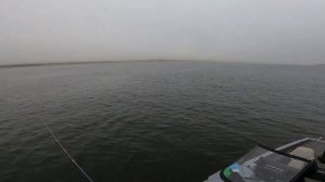 Рыбалка с Максимом Арестовым и не реальный ЖОР Судака!!! Ловим на  прототипы  Russian Bass...