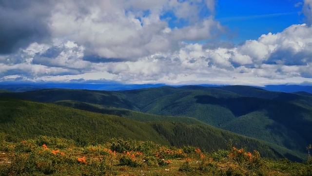 «Вечная любовь Тайги»-маршрут «Гольцы Тукурингра» смотреть онлайн