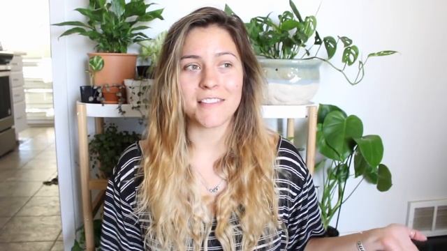 Polka Dot Plant Care Tips & Tricks | Polka Dot Houseplant Care смотреть онлайн