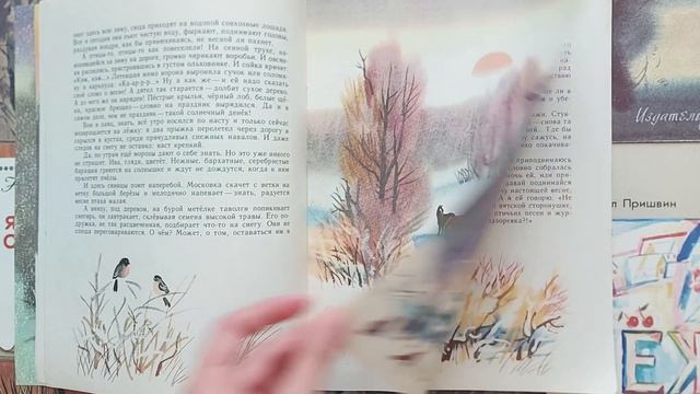 Солнечная просека. Николай Марихин. 1990. Художник Валерий Топков.