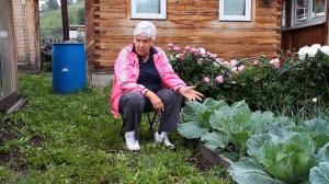 162 Борьба с вредителями и болезнями капусты