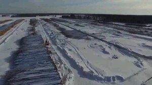 Пеньки вместо тайги как Китай превращает Сибирь в пустыню