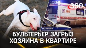Бультерьер перегрыз горло хозяину на глазах у детей в Коптево