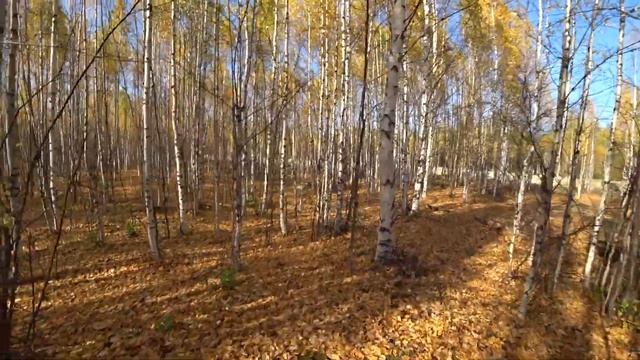 Старая буровая разведка.Много металла! Буровые коронки смотреть онлайн