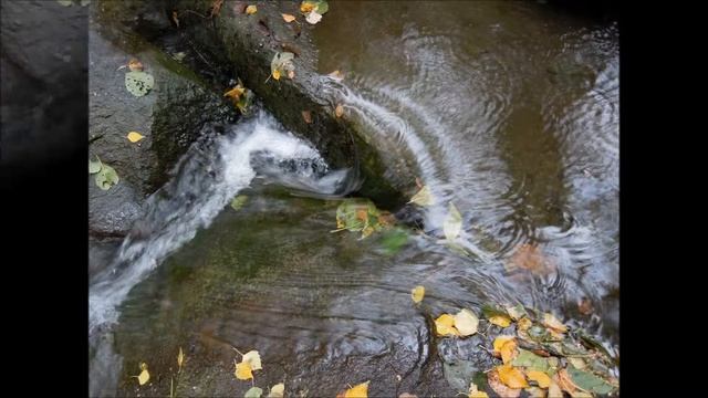 ОКТЯБРЬ КАМЕНКА ЛИСТЬЯ\AUTUMN"S WOTER IN THE URAL смотреть онлайн
