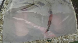 Мобиба МБ-104 Аквариум. Первые заходы