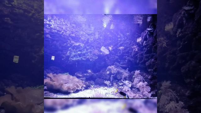 немецкий зоопарк част 6