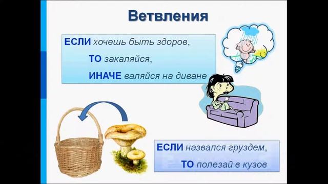 Создание алгоритмов. Информатика.