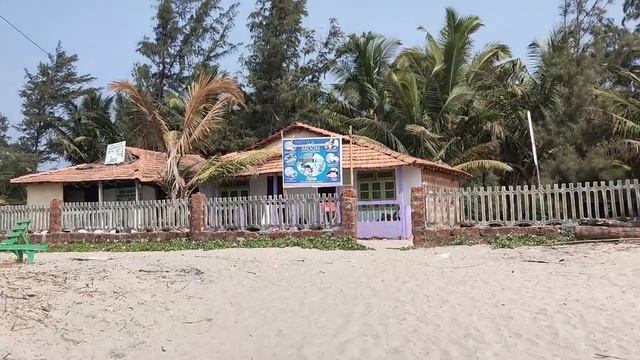 Mandrem Beach, Goa 2020