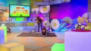 Шоу с дрессированными пуделями (2 пуделя в шоу)