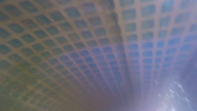 Гигантская Креветка Макробрахиум смотреть онлайн