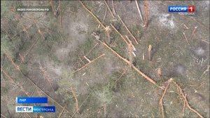 Минобороны показало, как костромские и ивановские десантники штурмуют опорный пункт ВСУ