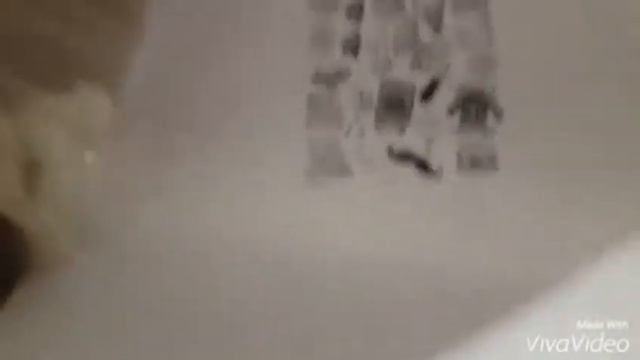 Как распечатать картинку ?