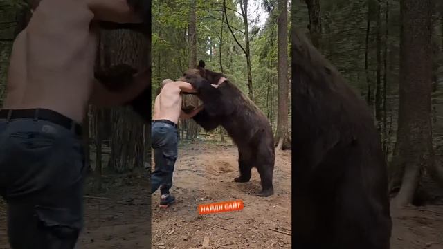 Viking adventures! Fight with a bear! А ты бы смог сразиться с медведем?