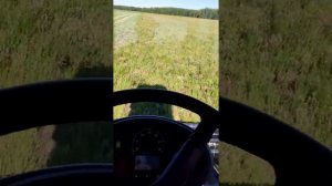 КПС МЕЩЕРА Е-403 первый сенокос,первые впечатления.