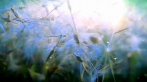 Информационный центр "ПАРУС"  МОУ "СОШ №3 имени М.Ю. Лермонтова"