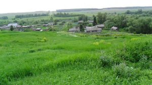 Деревенька моя Алешкино