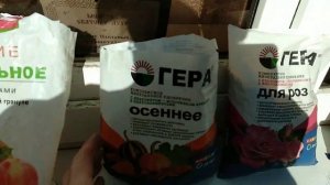 Подготовка роз к зиме. Удобряем  розы в ноябре