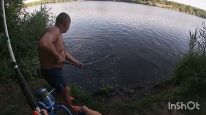 Рыбалка на толстолоба и белого амура.