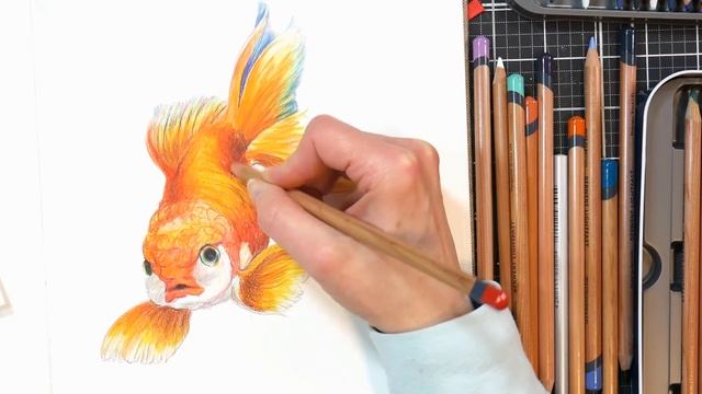 Chatting About Derwent Lightfast Pencils While Drawing a Goldfish (Sketchbook Sunday) смотреть онлайн