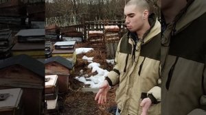 Облет пчел в Ивановской области. зимовка пчёл Итальянки ф1, ф2 ( лигустики ). Гибель племенной матк