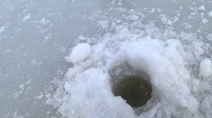 Зимняя рыбалка на жерлицы! Трофейные щуки рвут леску и не лезут в лунку!!! Вот это улов!