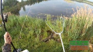 Рыбалка на карася поплавочной удочкой и донками "Крокодил".