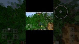 попуга танцует туцтуцтуц