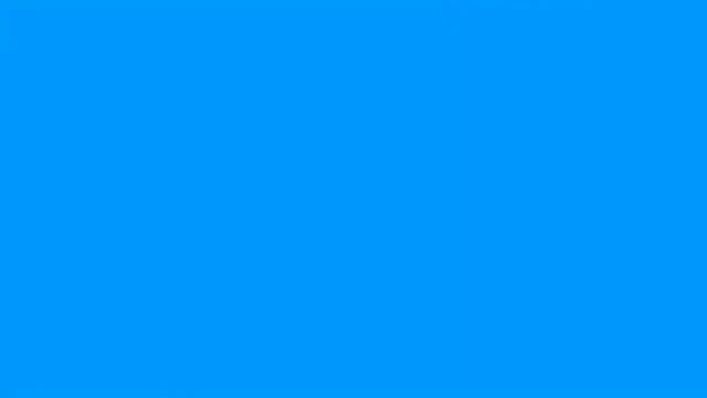 Oracal 751 Gloss Black Premium Long-Term Craft Vinyl for Cutters and Plotters (12in x 10ft) Review смотреть онлайн