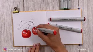 ВИШНЯ / рисуем спиртовыми маркерами