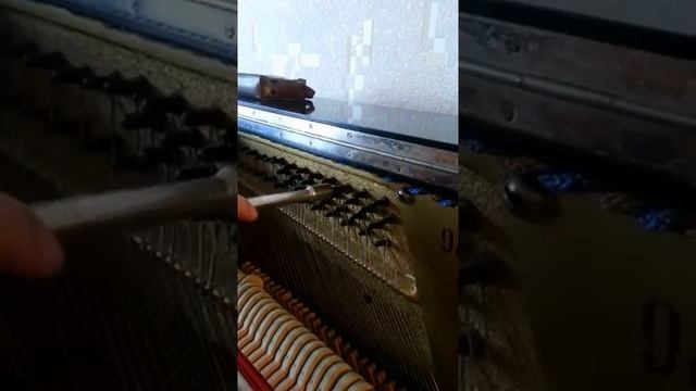 Ремонт пианино в онлайн режиме.Гофрокартонный шим.Запрессовка "родного колка" при помощи Т-бар