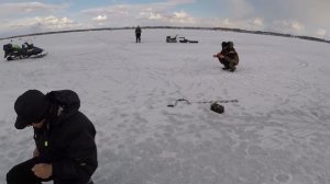 Сорога XXL! Ловим в украдку! Безнасадка