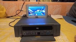 Gold Star P-R500AW пишущий видеоплеер