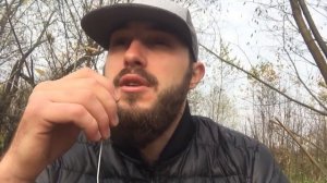 Альфач VS Алень/РСП/Воздержание