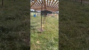 Строим овчарню ч.3