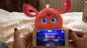Ферби FURBY от Hasbro. Обзор приложения Ферби Коннект.