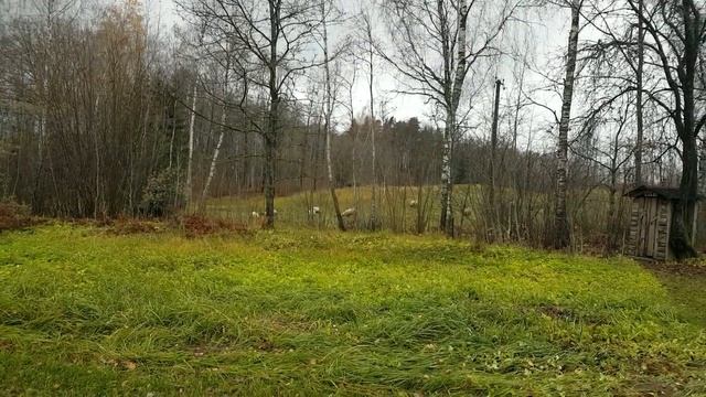 Ура!!! Нас уже 1000. МТЗ 09Н,продолжение сельскохозяйственных работ.