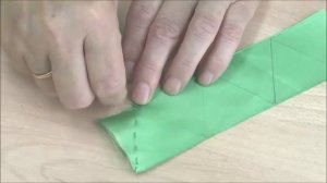 ШУРЦЕВА Ф.М.  МАСТЕР КЛАСС