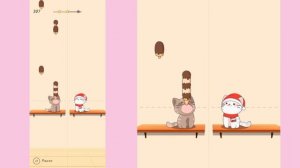 Duet Cats ~ Levitating | Vivien :)